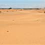 Perry Sandhills