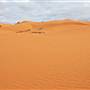 Perry Sandhills