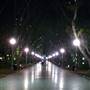 Sydney at Night