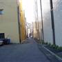 Surry Hills