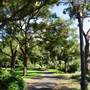 The Domain