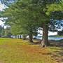 Currawong Beach Cottages & Basin Campground -  Ku-ring-gai Chase National Park