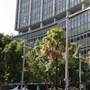 Sydney CBD - Phillip Street