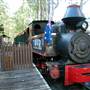 Timbertown