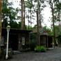 Timbertown