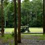 Timbertown