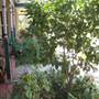 The Vines Holiday Cottages