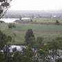 Taree