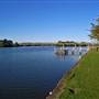 Taree