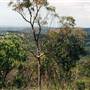 Terrey Hills Neighbourhood