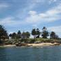 Shark Island
