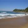 Whale Beach
