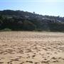Whale Beach