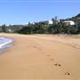Whale Beach