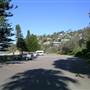 Whale Beach