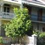 Woollahra