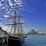 Southern Swan - Ship