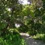 Tuckers Rocks Beach & Cottage - Bongil Bongil National Park