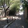 Surry Hills - Sophia Lane