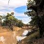Walgett Area
