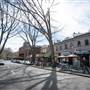 SURRY HILLS - PERIOD
