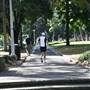 Hyde Park and Archibald Fountain - Sydney CBD