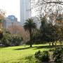 Hyde Park and Archibald Fountain - Sydney CBD