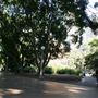 Hyde Park and Archibald Fountain - Sydney CBD
