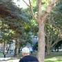 Hyde Park and Archibald Fountain - Sydney CBD