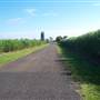 Riverbank Road