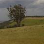 Road from Coolah Tops to Coolah