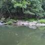 Red Cedar Flat picnic area