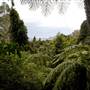 Scenic World