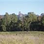 Warrumbungle National Park