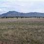 Warrumbungle National Park