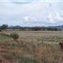 Warrumbungle National Park