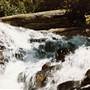 Tristania Falls - Dorrigo National Park