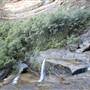 Wentworth Falls - Blue Mountains National Park
