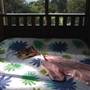 Tuckers Rocks Cottage