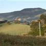 Tweed Valley 2 of 2
