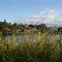 Tweed Valley 2 of 2