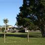 Tweed Valley 2 of 2