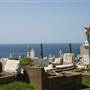 Waverley Cemetery