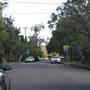 Lindfield