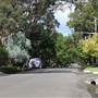 Kintore St - Pymble
