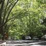 Water St - Pymble