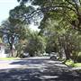 Willoughby neighbourhood
