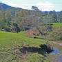 Bellingen