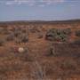 Broken Hill