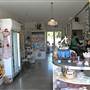 Brunswick Heads - Town/Shops